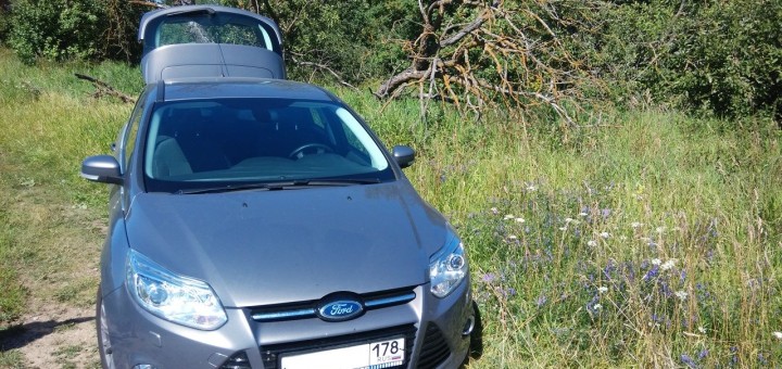 Ford Focus 3 с защитой радиатора